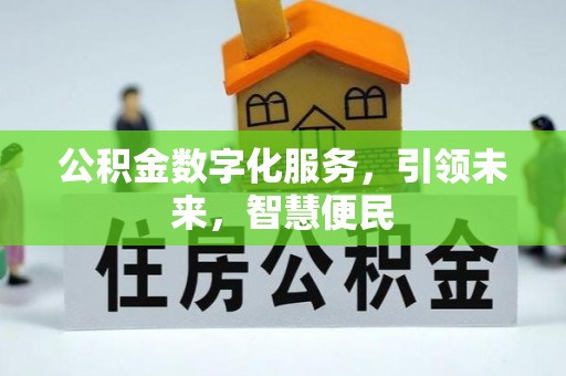龙川公积金数字化服务，引领未来，智慧便民