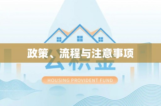 龙川政策、流程与注意事项
