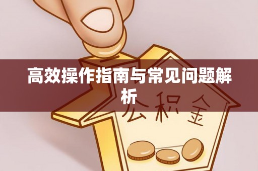 龙川高效操作指南与常见问题解析