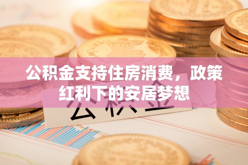 龙川公积金支持住房消费，政策红利下的安居梦想