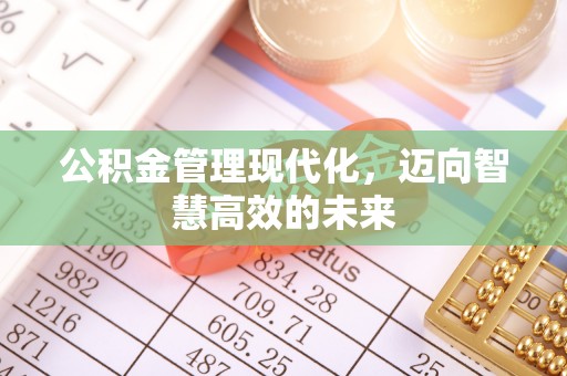 龙川公积金管理现代化，迈向智慧高效的未来