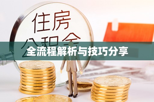 龙川全流程解析与技巧分享