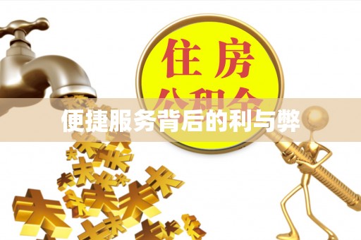 龙川便捷服务背后的利与弊