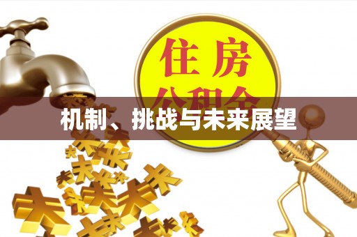 龙川机制、挑战与未来展望